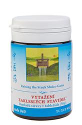 040-vytazeni-zakleslych-stavidel-100-tablet