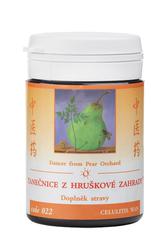 022-tanecnice-z-hruskove-zahrady-100-tablet