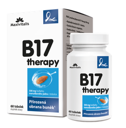 b17-therapy-60-tablet