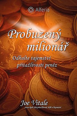 probuzeny-milionar