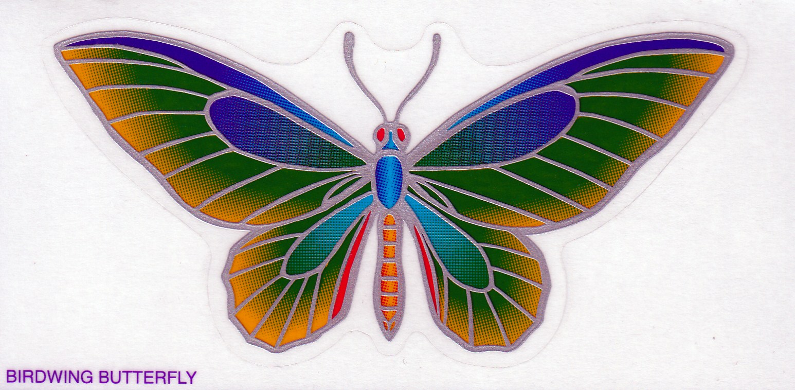 mandala-sunlight-birdwing-butterfly