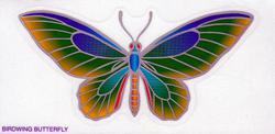 mandala-sunlight-birdwing-butterfly