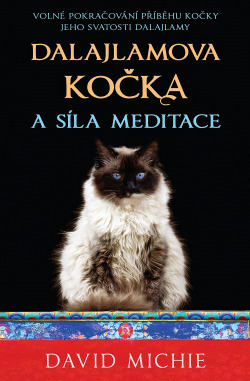 dalajlamova-kocka-a-sila-meditace