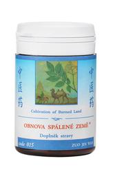 015-obnova-spalene-zeme-100-tablet