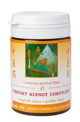 198-tibetsky-klenot-cordyceps-30g