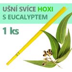 usni-svice-eucalypt