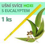 usni-svice-eucalypt