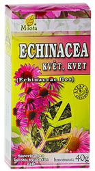 echinacea-kvet-40g