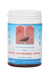 038-klenba-malebneho-chramu-100-tablet