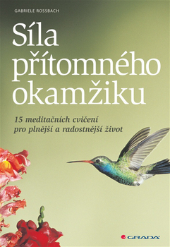 sila-pritomneho-okamziku