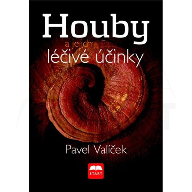 houby-a-jejich-lecive-ucinky-valicek