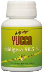 yucca-120