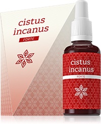 cistus-incanus-forte