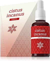 cistus-incanus-forte