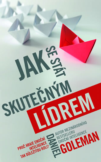 jak-se-stat-skutecnym-lidrem